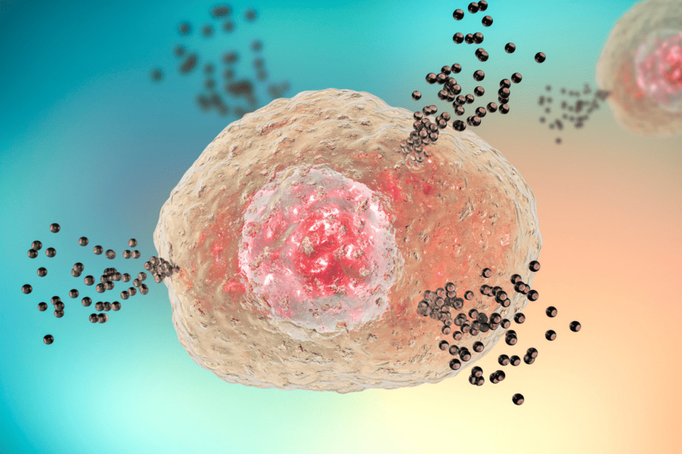 Australia Wine Have A Lot Of Mast Cell Activation