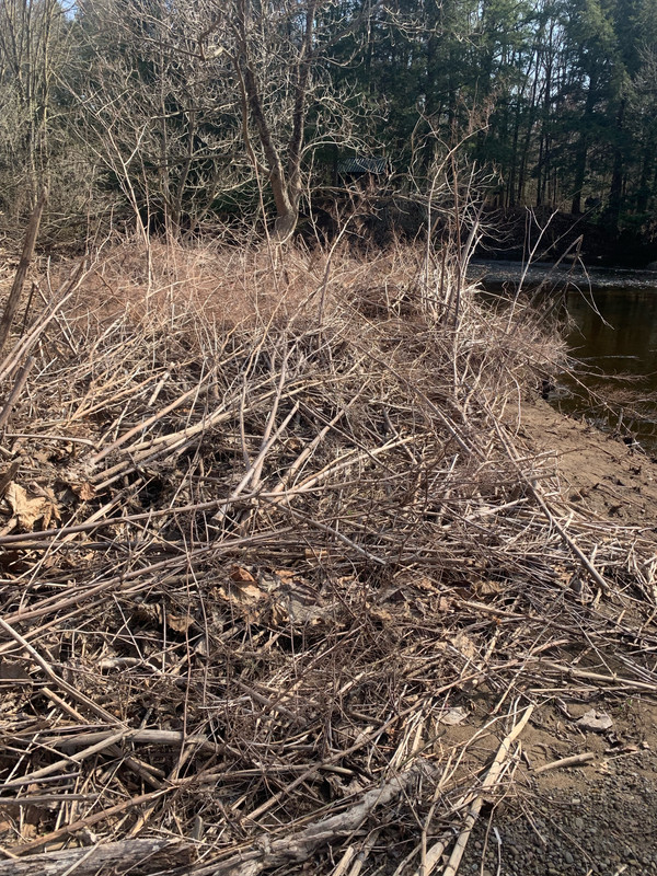 434DF7FC-A21D-4989-9D51-E9D2F82B3266