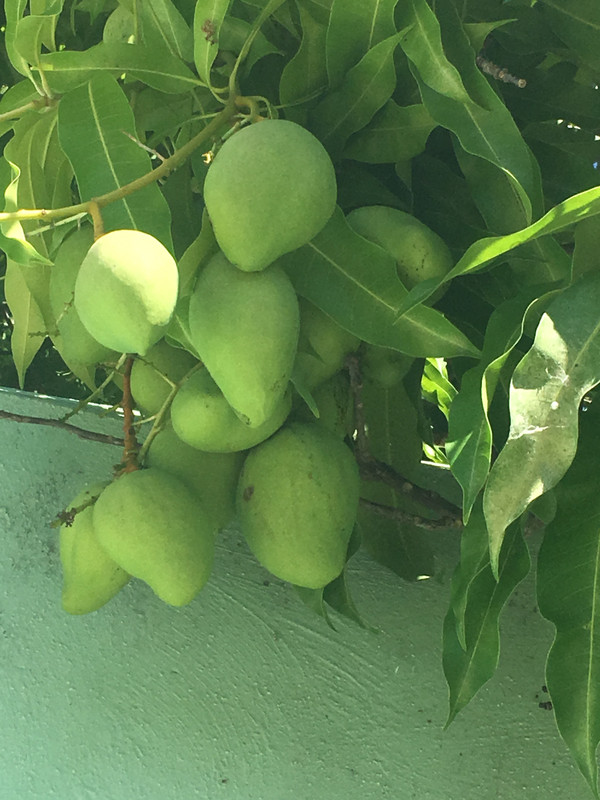 FACD4465-BBEB-403B-BEAC-3FA8DEA877FC