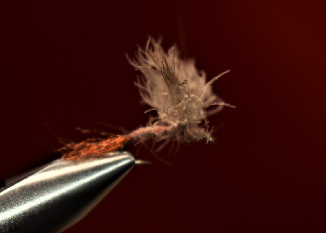 Beaverkill Hendrickson Cripple