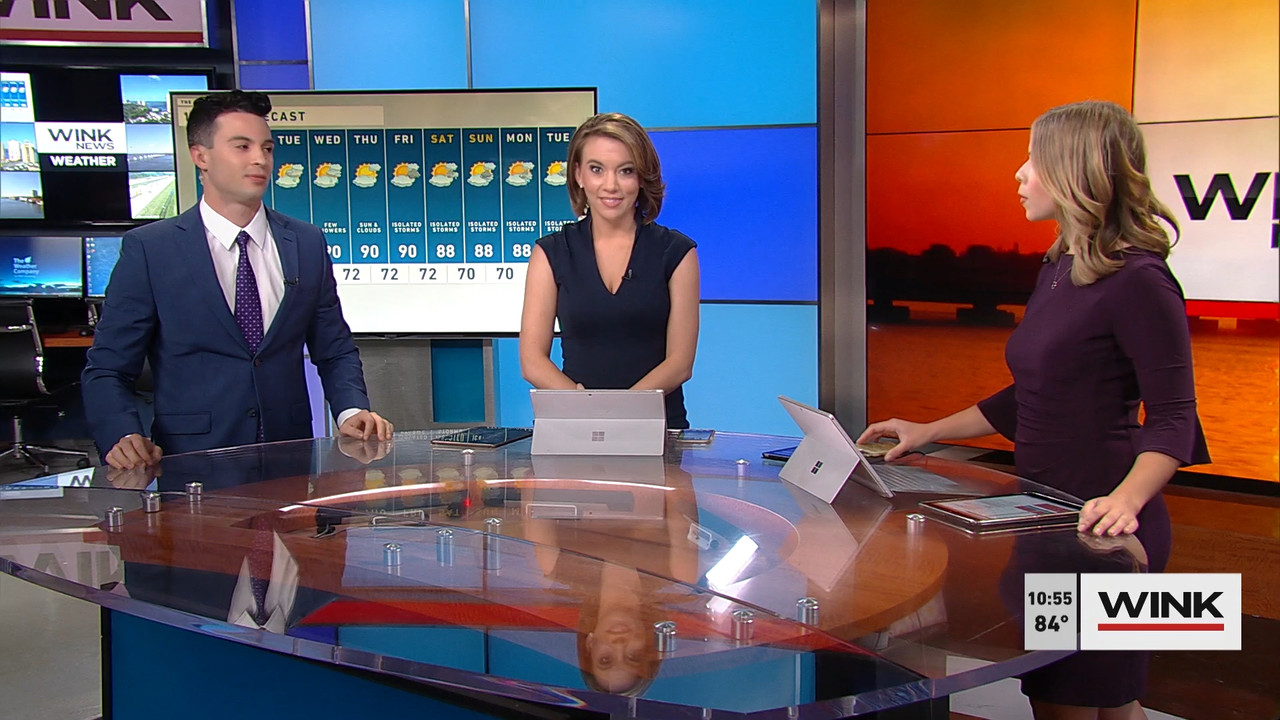 09.26 - 14.00.00 - WINK News at 9 00 a.m. Sunday. News_001.ts_snapshot_46.59.108