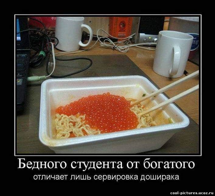 1457469193_prikolnye-foto-na-temu-doshirak-26