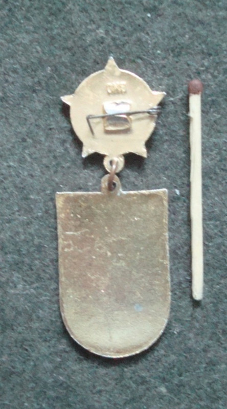 инструктор общественник_1