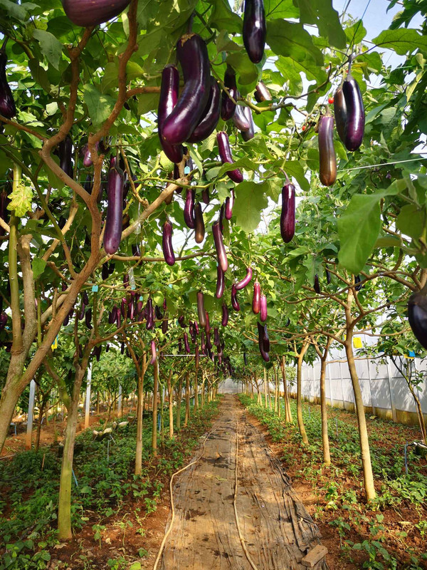 43C065BF-B3FE-4BA2-B34A-5D456644EE0B