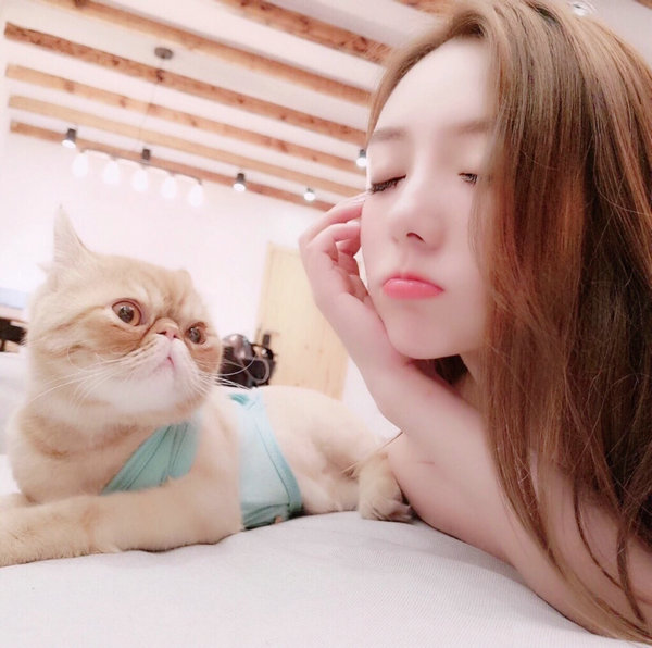 东莞SEO公司：助力企业网络营销的得力助手;vlog