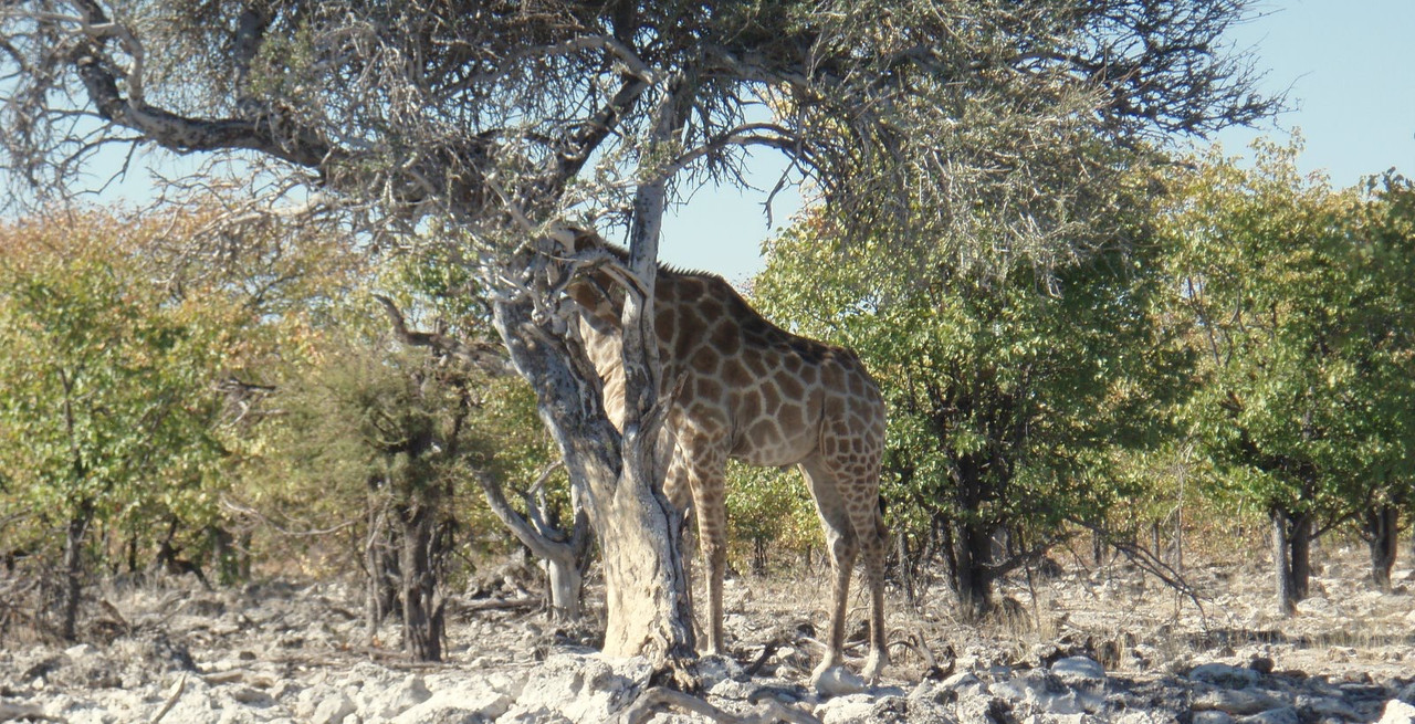 P7190054