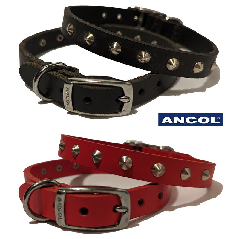 Ancol Heritage Studded Leather Dog Collar - Gallerystud