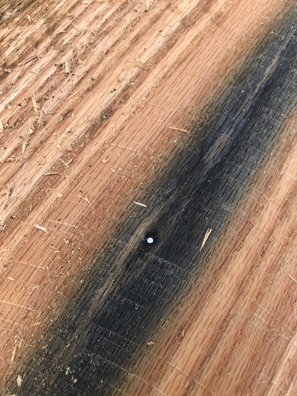 4FA4CBD4-A4EE-42C0-A2F2-905A79D7F6B5