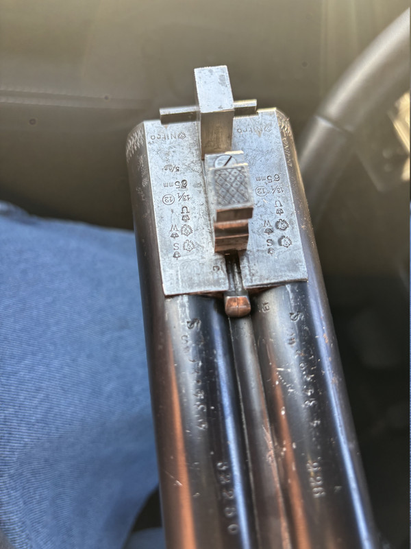 [Linked Image from i.postimg.cc]