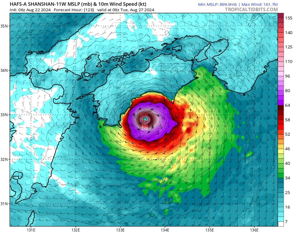 hafsa-mslp-wind-11-W-42.png
