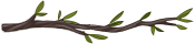 Divider-Branch4.png