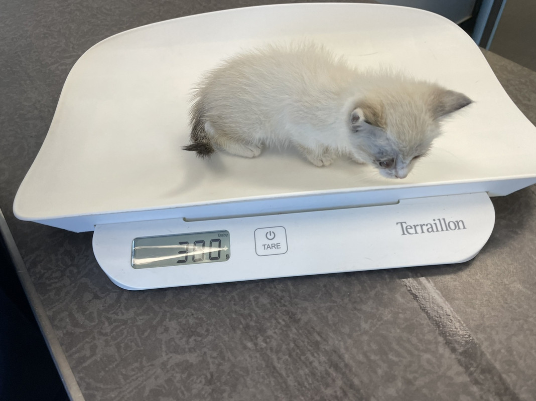 7CA75F21-FF1D-4197-923B-BE9A21DA836C