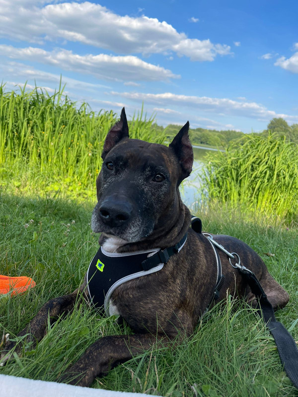 8A42B08F-CF53-482B-9858-E223D7EEBA49