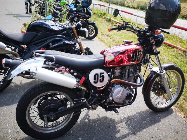 big Netzkater 25_06_20