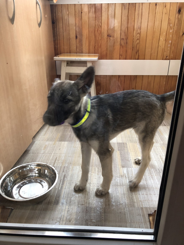 06FC69A0-E45F-452C-8E95-F87F83748D29