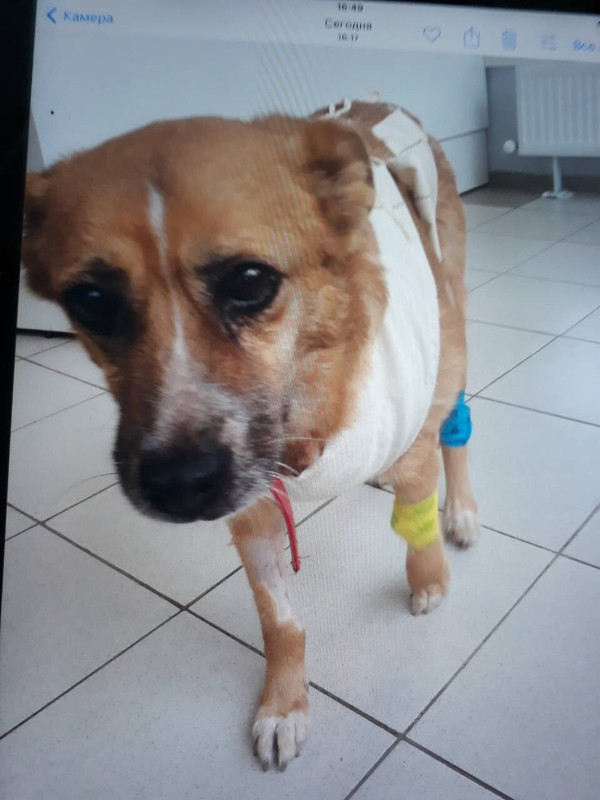 6FD826B5-10B1-4404-A3D7-CDC846582E34