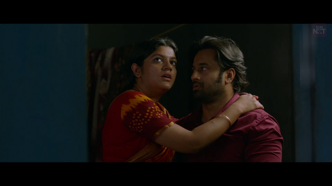 vlcsnap 2026 02 10 19h42m01s468