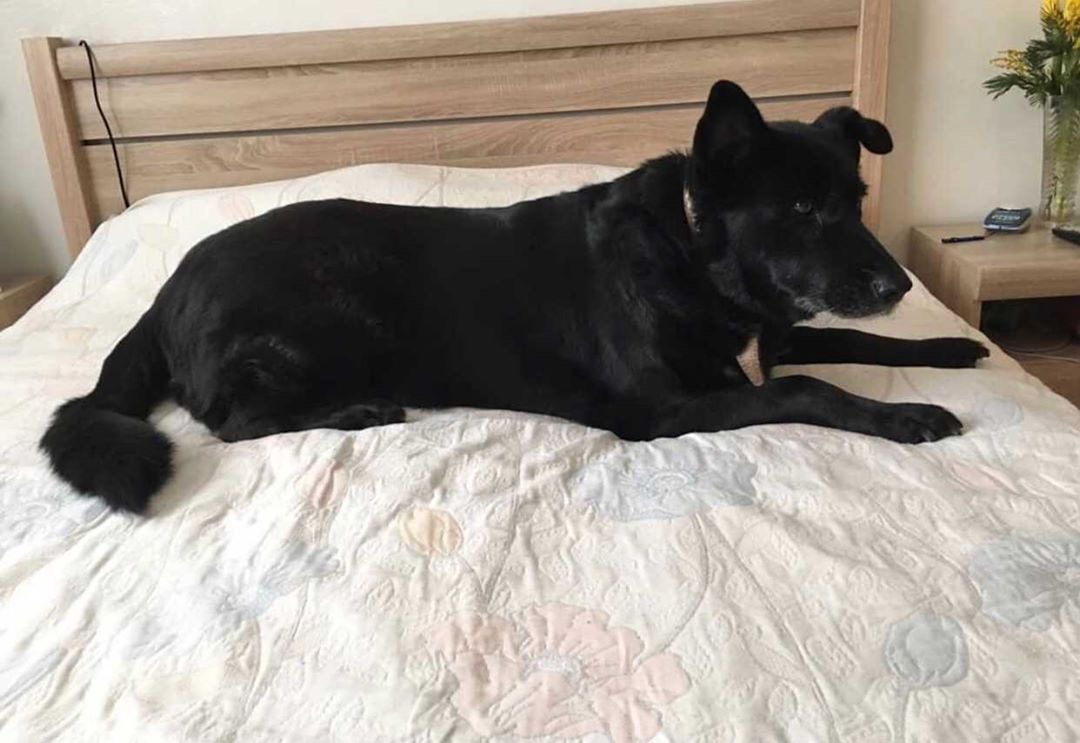 0C1BCA57-1CA3-4991-9D2F-483B41FF7E33