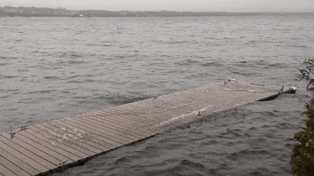 GIFs-18
