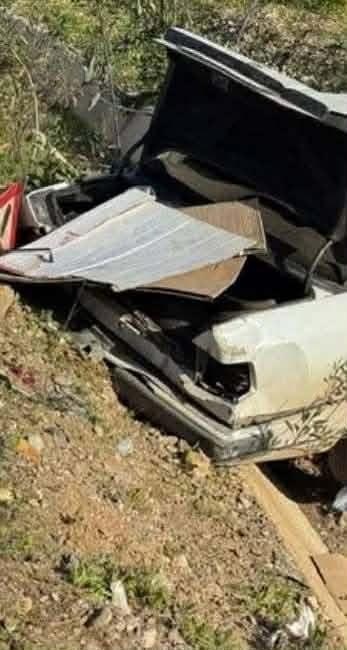 648108406-1490458162428547-3330638454496070711-n