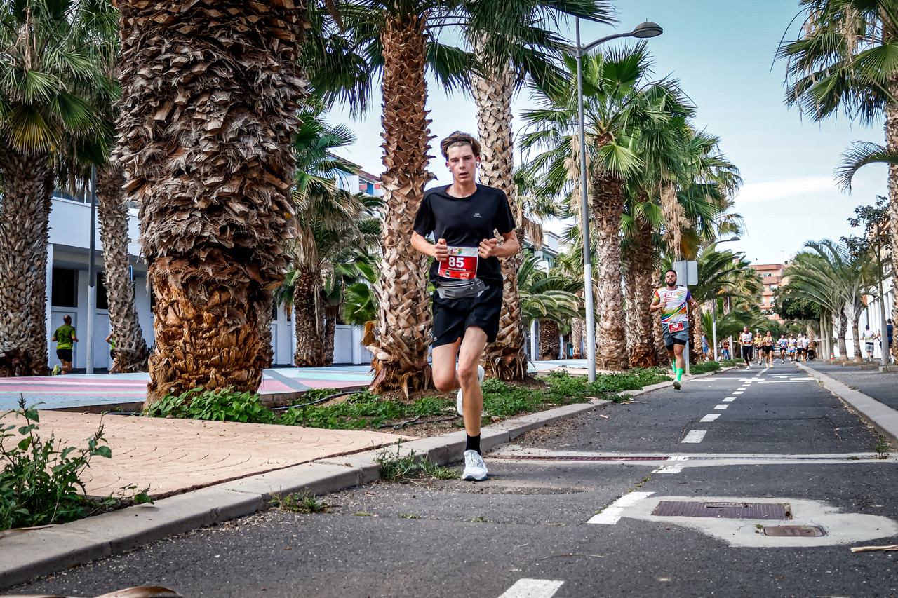 Canary Run 7808