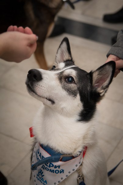 85D205AC-B491-4129-A83D-5FEB7454693A