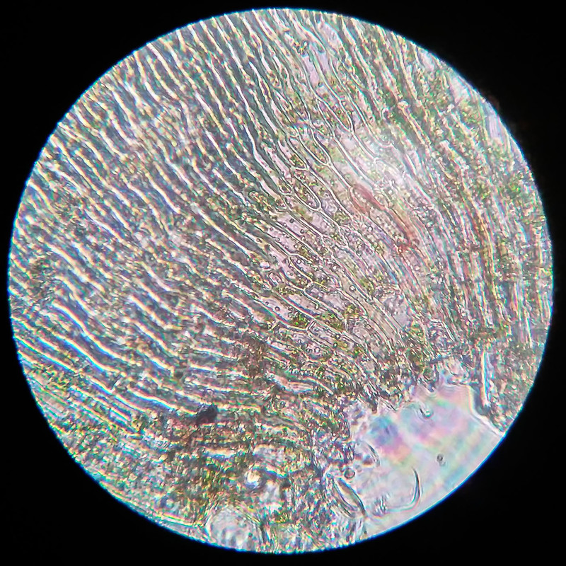 IMG 20250616 220253 HDR