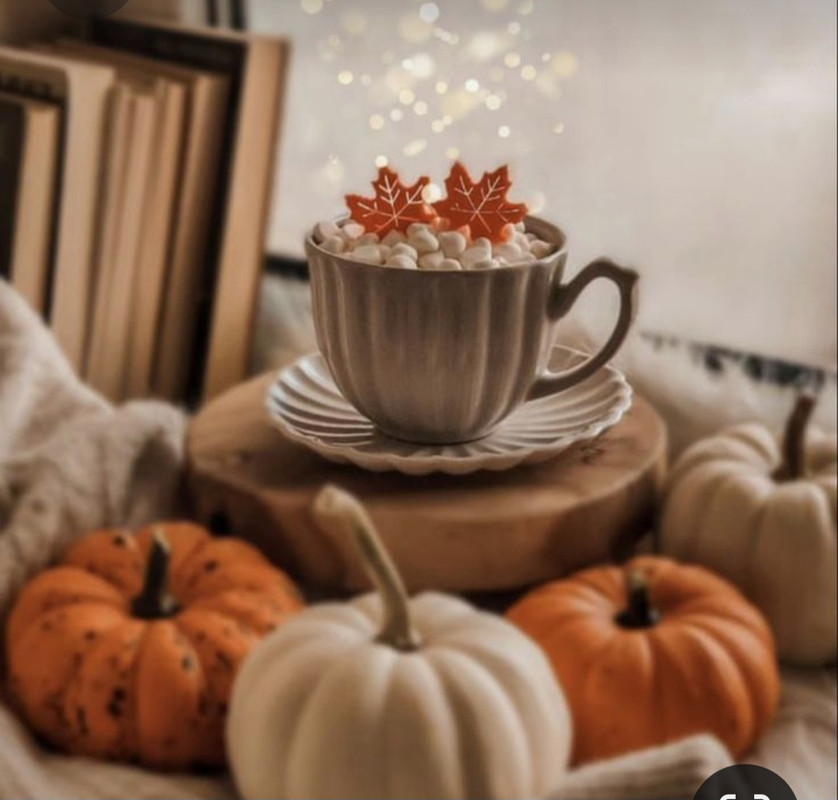 Screenshot_20231016_130532_Pinterest