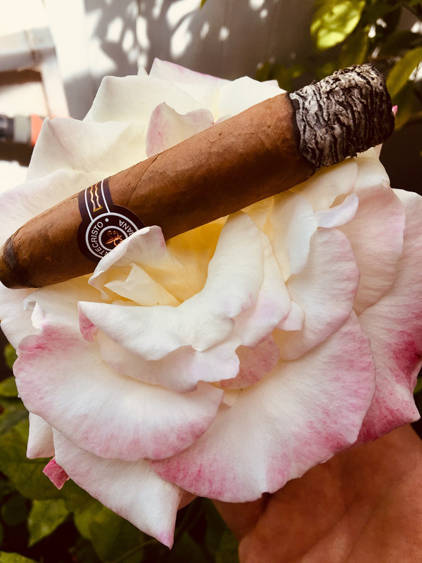 519FEA47-2CF9-4758-B37E-D754B743E85F