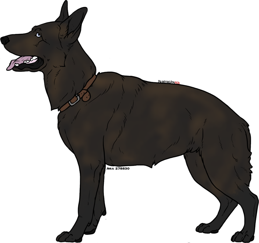 Brutus-Adult.png