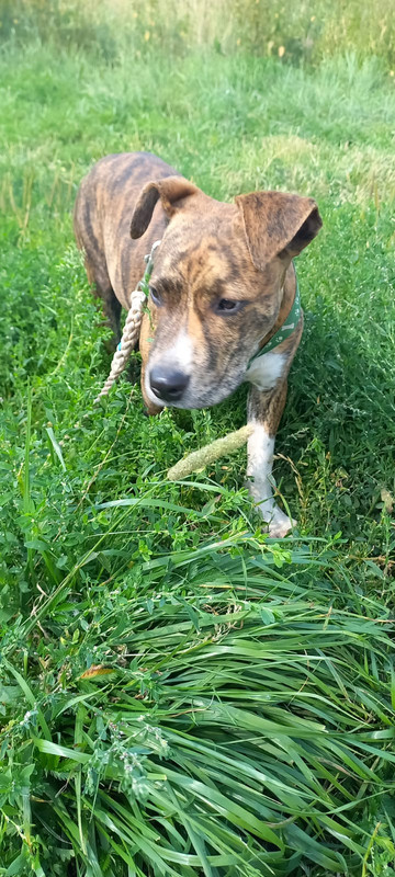 WhatsApp Image 2022-08-05 at 14.24.32 (1)