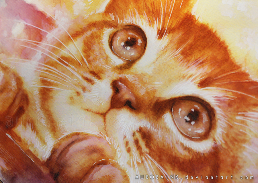 34-what-s-this-preview-by-auroraink-d5kh8iz