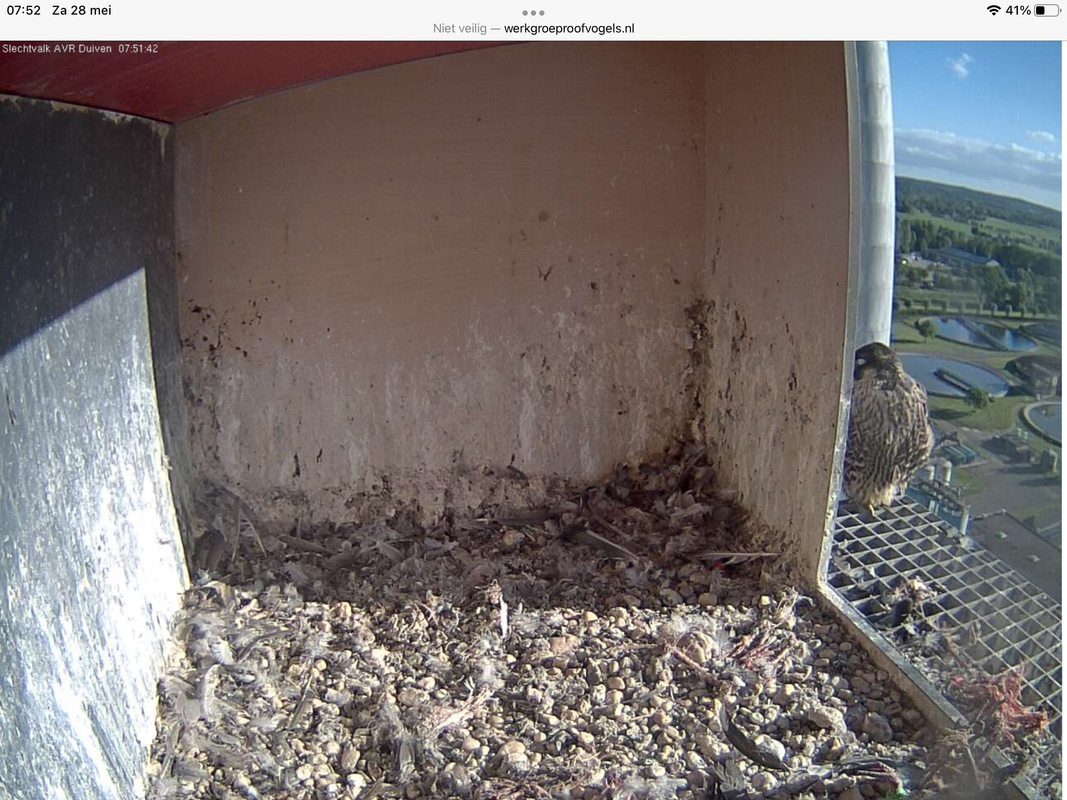 C5340C24-A364-4F49-A9A6-934AE6DCD869