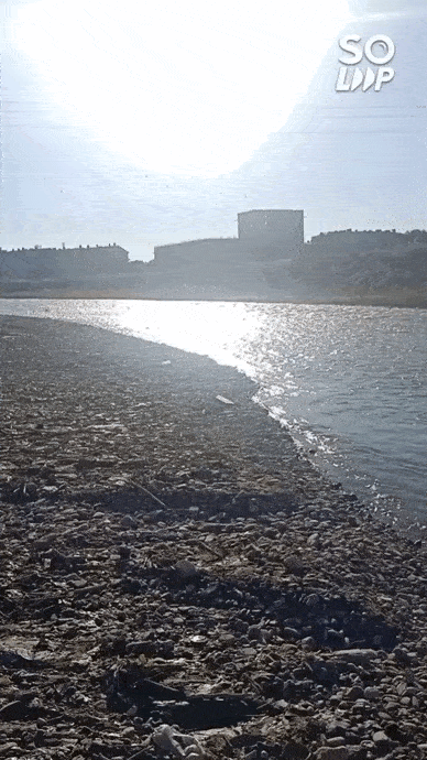 Soloop-20210814103037.gif