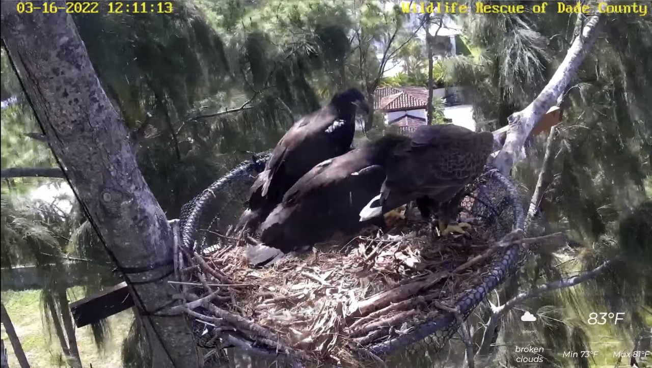 176B3FED-9DFE-47F3-B4E3-F1EBD548C57F