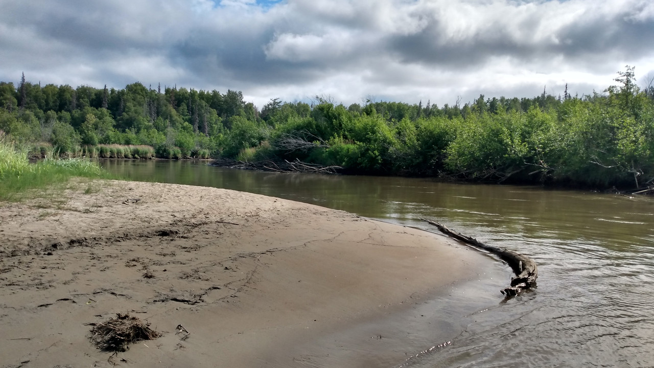IMG_20210806_121642679_HDR