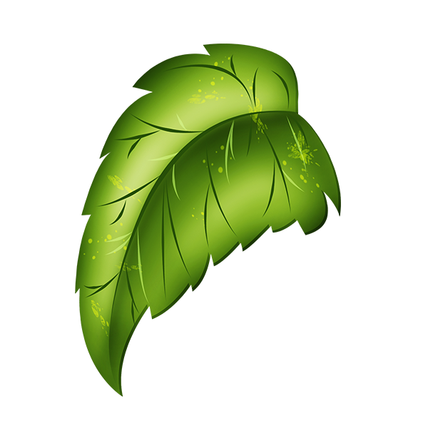 KBK_ForestSchool (56)