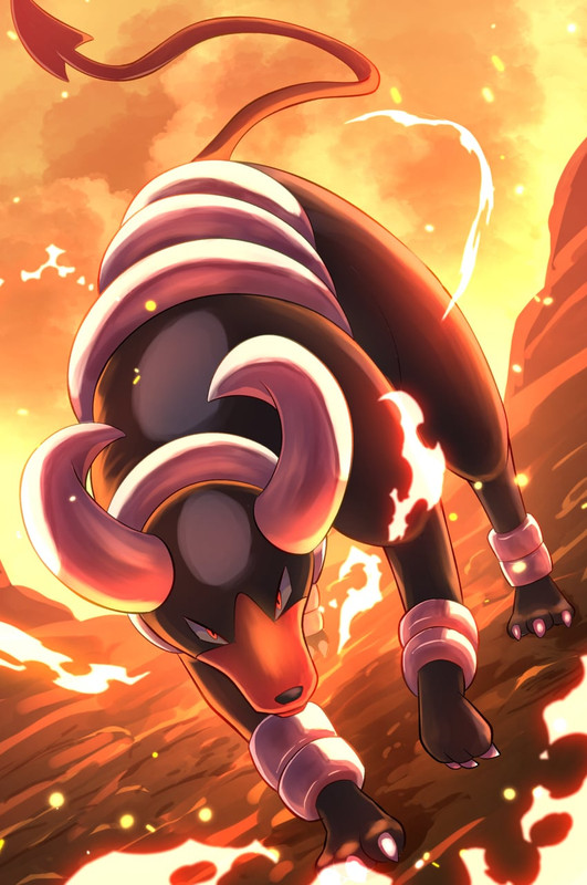 houndoom-pokemon-drawn-by-rumine-yoshi12