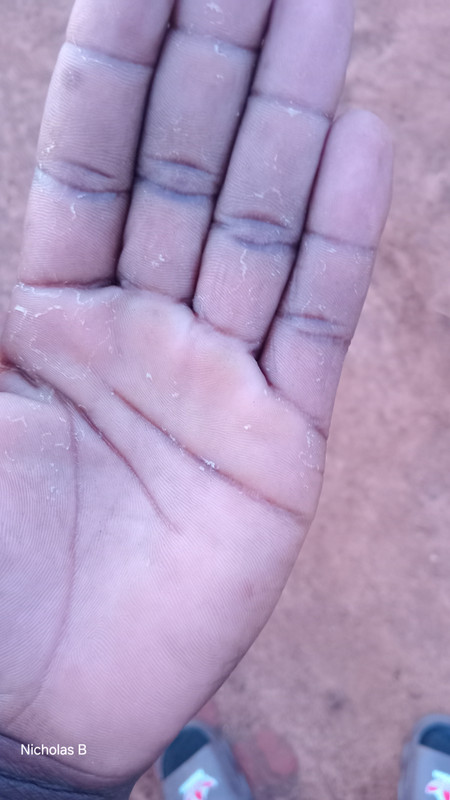 Chapter 1 Illustration