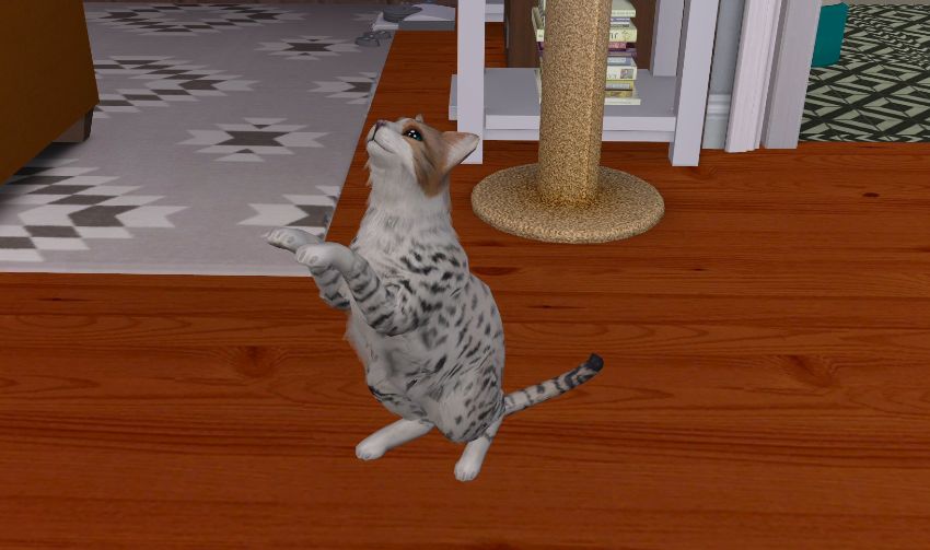 Sims2-EP9-2021-02-21-19-10-18-14