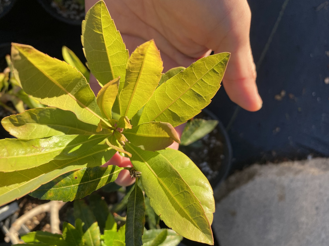 0843A823-247C-4107-B24F-F26912C2FF18