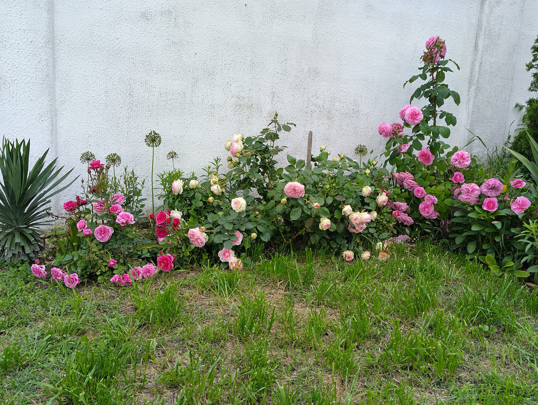 IMG_20230530_180323_HDR