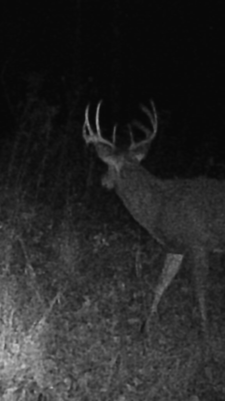 5330D5CF-3D78-4558-9920-5F3A7C1EFF40