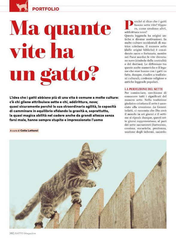 Ga Ma Dic 2024-Gen 2025 (7)