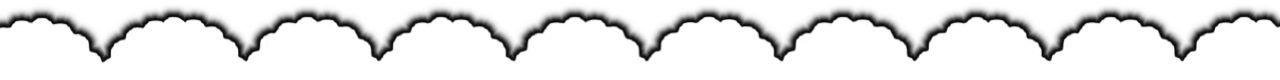 black 88