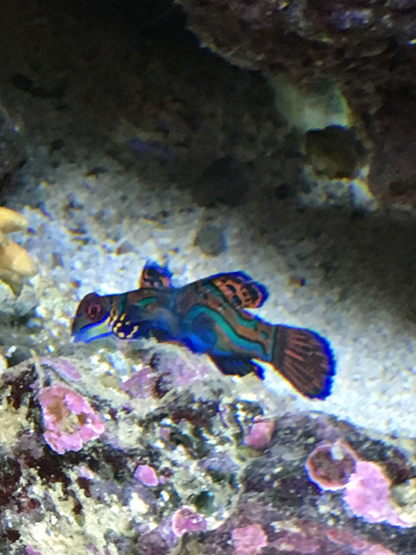 DC52032C-FE52-4DA1-A6B7-D79EE1B3C4DC