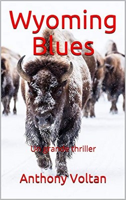 Anthony Voltan - Bostonian Stories Vol. 6. Wyoming Blues (2019)