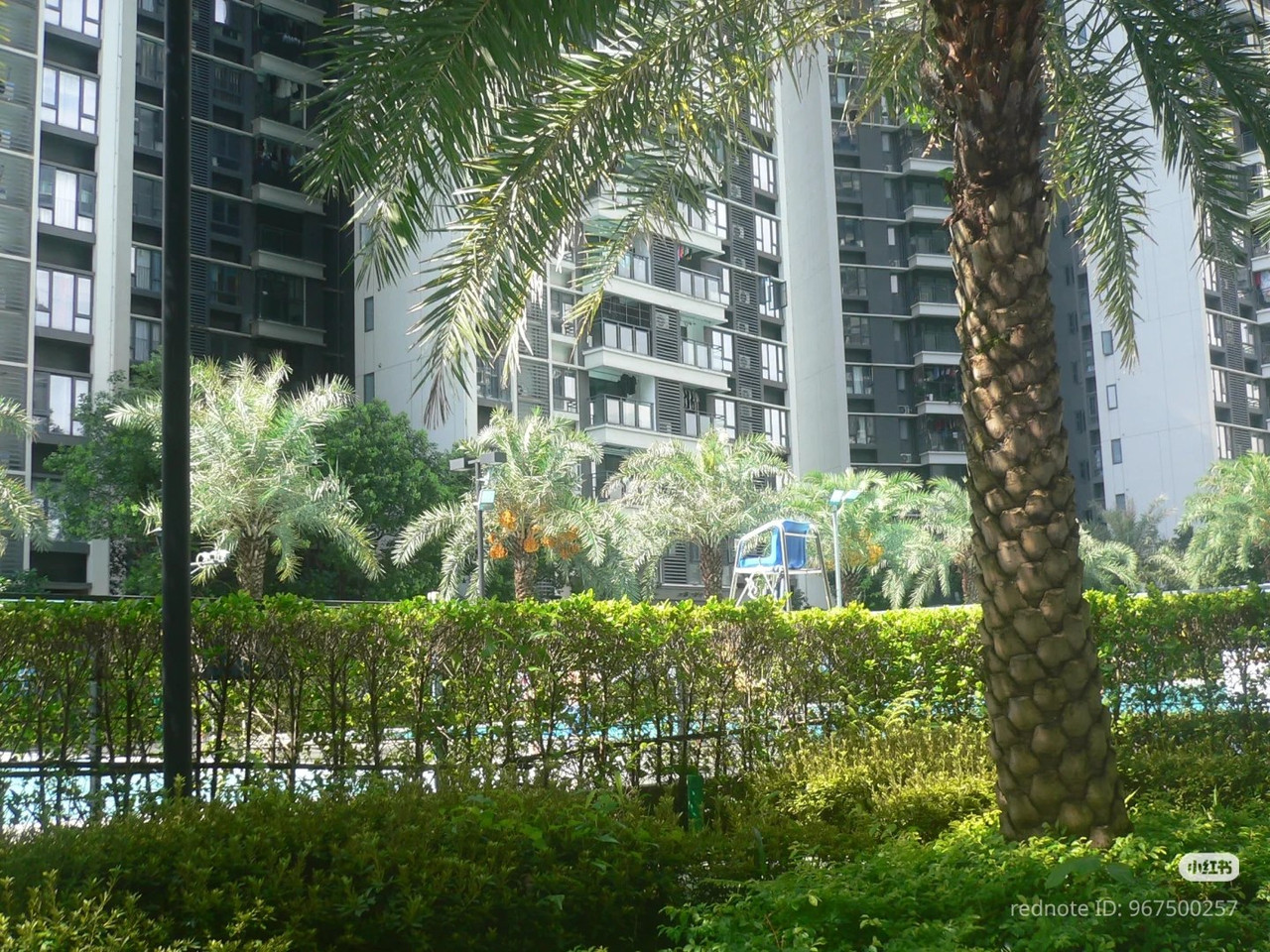 photo 8 2025 12 24 16 09 51