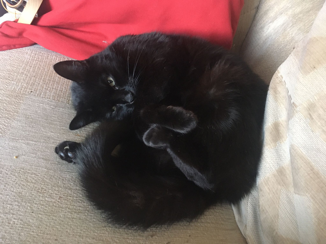 6C927700-0117-4CC9-8EBF-E5FC3FE55181