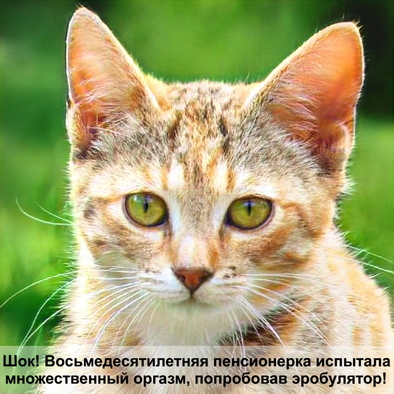 самая страшная кошка в мире